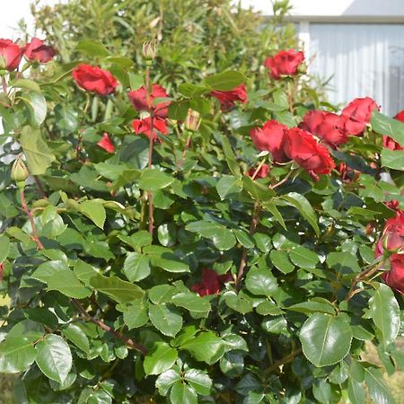 Les Jardins D'Oleron Hotell Saint-Pierre-d'Oleron Eksteriør bilde